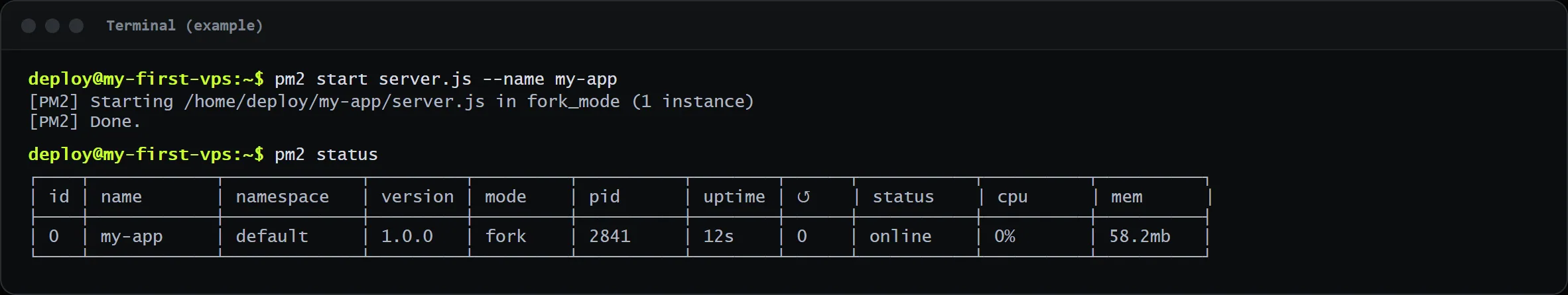 Example output: my-app is online under PM2.