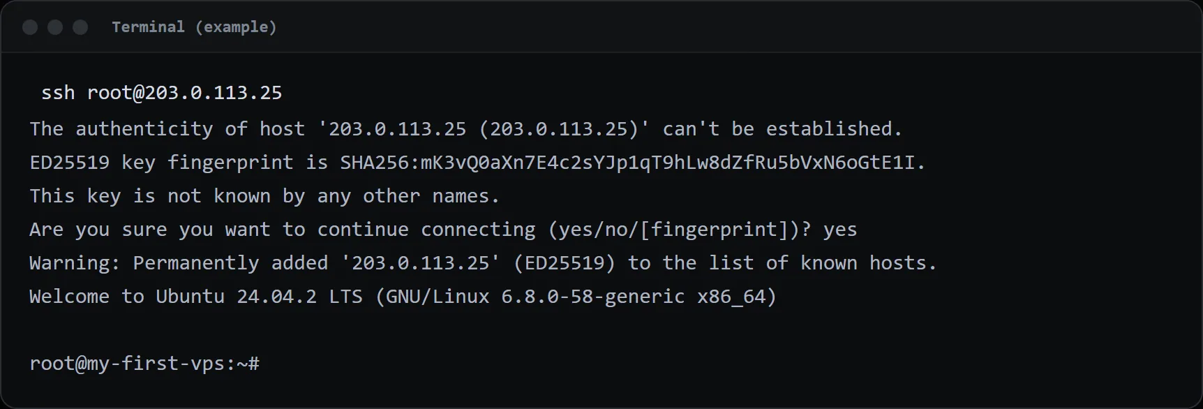 The first connection. The IP address is a documentation example.