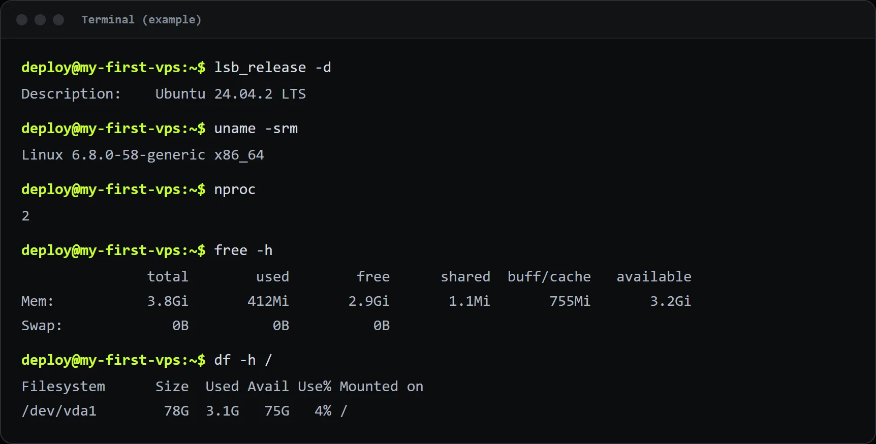 Example output: the operating system, CPU count, memory and disk of a small server.