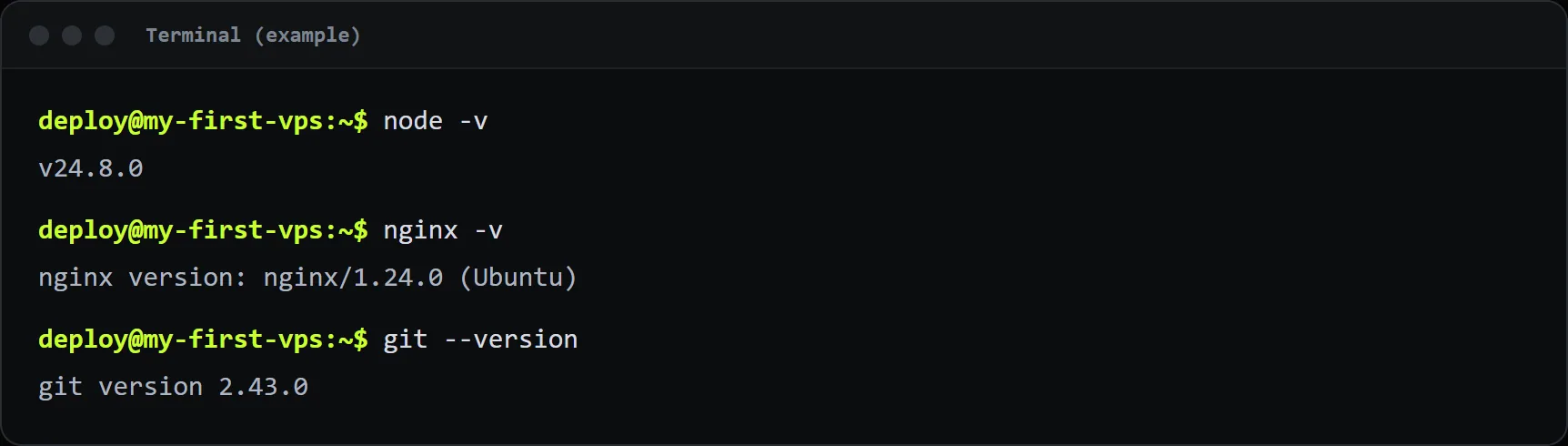 Example output: the installed versions of Node.js, Nginx and Git.